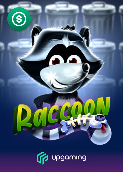 Raccoon